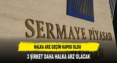 3 ŞİRKET DAHA HALKA ARZ OLACAK