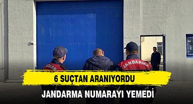 6 SUÇTAN ARANIYORDU JANDARMAYA NUMARA YAPTI