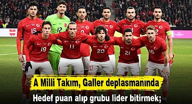 A Milli Takım, Galler deplasmanında