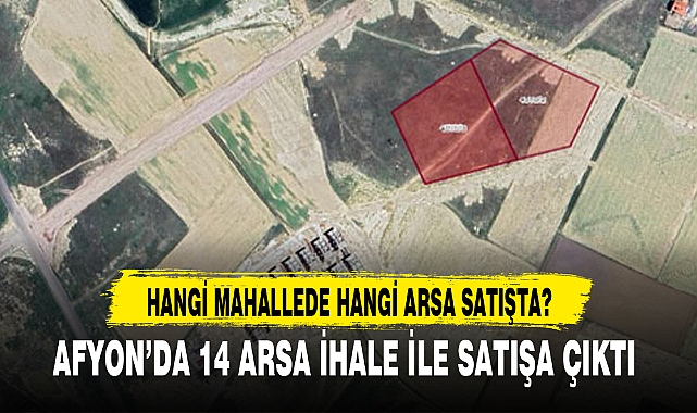 AFYON'DA 14 ARSA İHALE İLE SATIŞA ÇIKTI