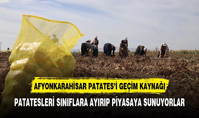 AFYONKARAHİSAR'DA BU KÖY GEÇİM KAYNAĞINI BULDU