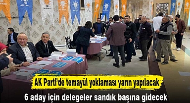 AK Parti’de temayül yoklaması yarın yapılacak