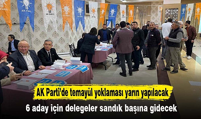 AK Parti’de temayül yoklaması yarın yapılacak