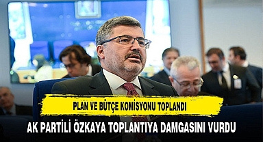 AK Partili Ali Özkaya Komisyona Damgasını Vurdu