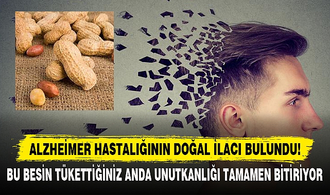 Alzheimer hastalığının doğal ilacı bulundu!