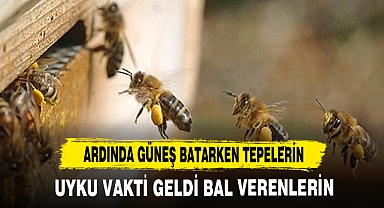 Ardında güneş batarken tepelerin uyku vakti geldi bal verenlerin