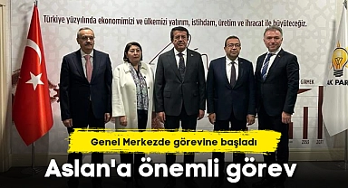 Aslan'a önemli görev