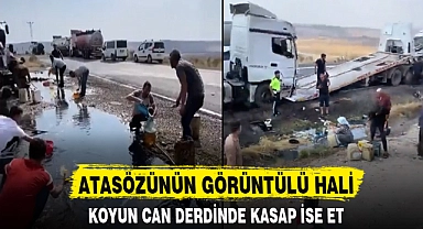 ATASÖZÜNÜN GÖRÜNTÜLÜ HALİ
