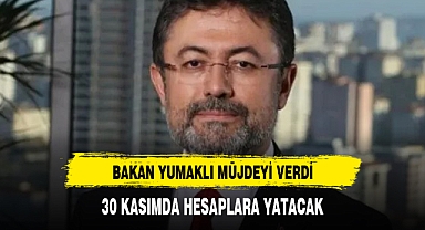 Bakan duyurdu: 30 Kasım'da hesaplara yatıyor