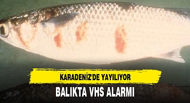 BALIKTA VHS ALARMI
