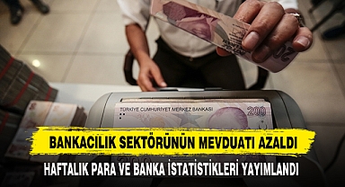 Bankacılık Sektörünün Mevduatı Azaldı