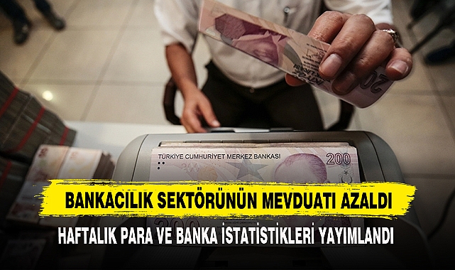 Bankacılık Sektörünün Mevduatı Azaldı