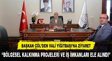Başkan Çöl'den Vali Yiğitbaşı'na ziyaret