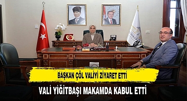 Başkan Çöl Valiyi Ziyaret Etti