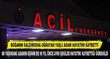 Boğanın Saldırısına Uğrayan Yaşlı Adam Hayatını Kaybetti