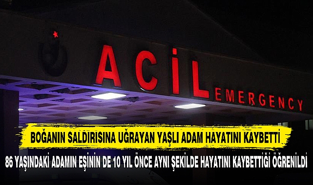 Boğanın Saldırısına Uğrayan Yaşlı Adam Hayatını Kaybetti
