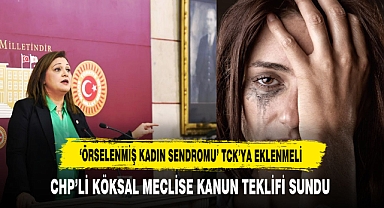 CHP'li Köksal Şiddet Mağduru Kadınlar İçin Kanun Teklifi Verdi