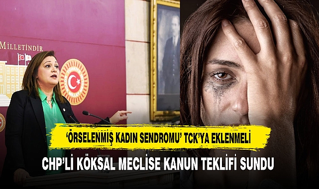 CHP'li Köksal Şiddet Mağduru Kadınlar İçin Kanun Teklifi Verdi