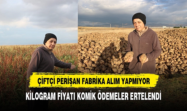 ÇİFTÇİ PERİŞAN FABRİKA ALIM YAPMIYOR ÖDEMELER GELMİYOR