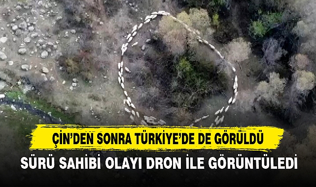 Çin'den Sonra Türkiye'de De Görüldü