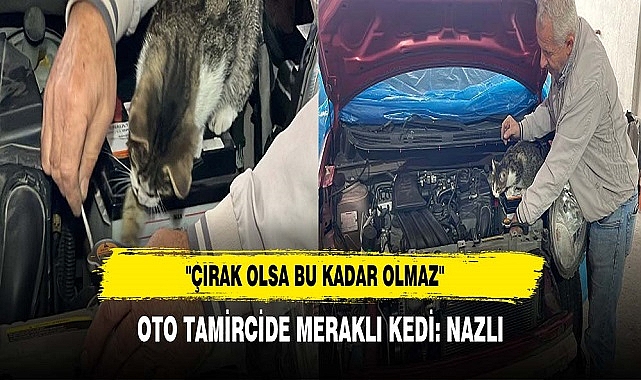"ÇIRAK OLSA BU KADAR OLMAZ"