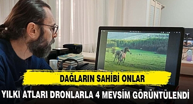 DAĞLARIN SAHİBİ YILKI ATLARI