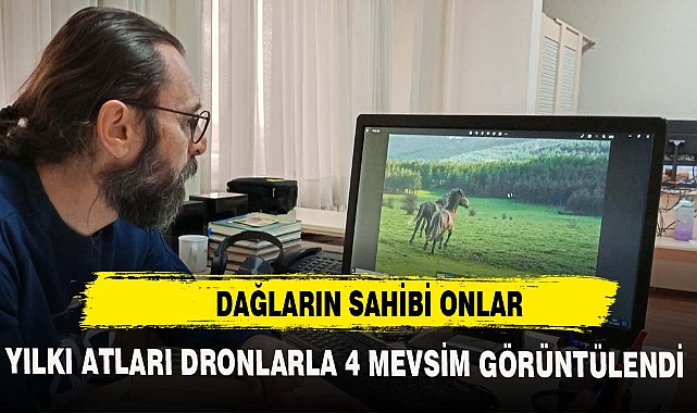 DAĞLARIN SAHİBİ YILKI ATLARI