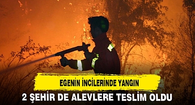 EGENİN İNCİLERİNDE YANGIN