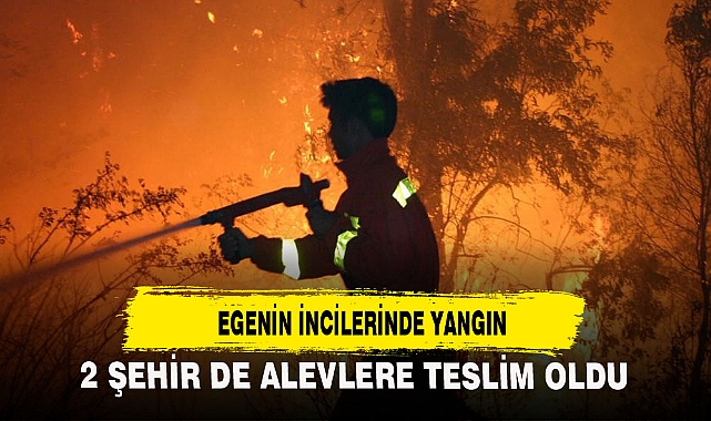 EGENİN İNCİLERİNDE YANGIN