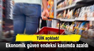 Ekonomik güven endeksi kasımda azaldı