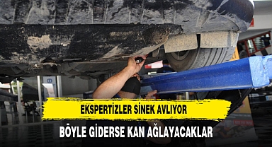 Ekspertizler sinek avlıyor