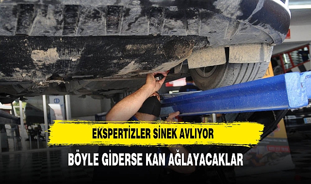 Ekspertizler sinek avlıyor