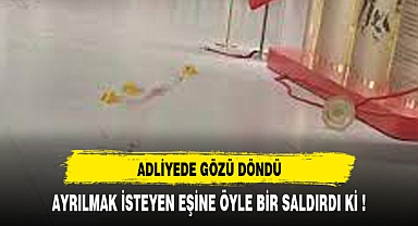 Gözü dönmüş koca, boşanmak isteyen eşini adliyede bıçakladı