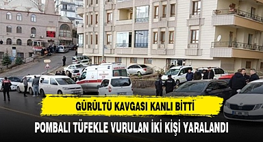 Gürültü cinayetinde iki kişi yaralandı