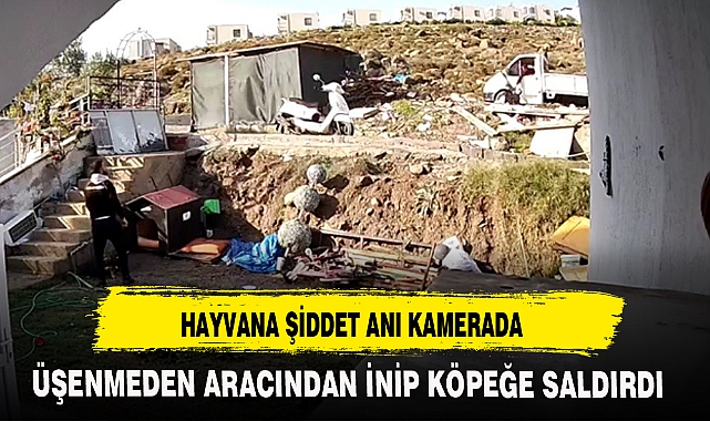 HAYVANA ŞİDDET ANI KAMERADA