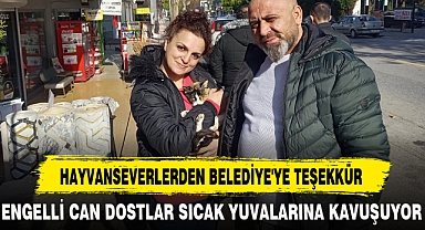 HAYVANSEVERLERDEN BELEDİYE'YE TEŞEKKÜR