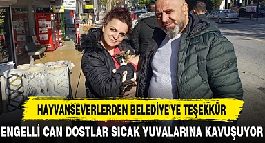 HAYVANSEVERLERDEN BELEDİYE'YE TEŞEKKÜR