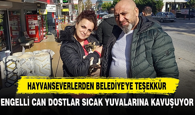 HAYVANSEVERLERDEN BELEDİYE'YE TEŞEKKÜR