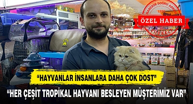 “İnsanlar yalnızlaştı evcil hayvan besleme alışkanlığı arttı”