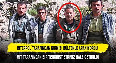 Interpol Tarafından Kırmızı Bültenle Aranıyordu