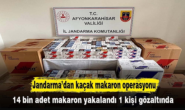 Jandarma'dan kaçak makaron operasyonu