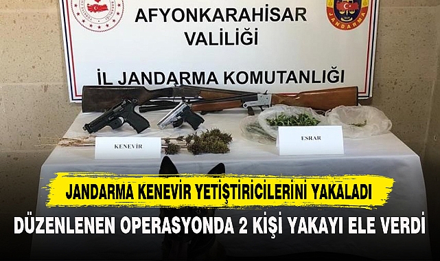 Jandarma Kenevir Yetiştiricilerini Yakaladı