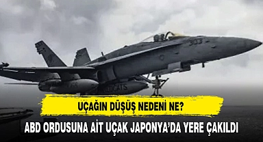 Japonya'da ABD uçağı yere çakıldı