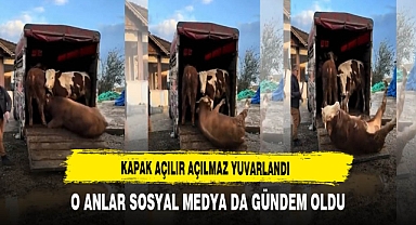 Kapak Açılır Açılmaz Yuvarlandı. O Anlar Sosyal Medya da Gündem Oldu