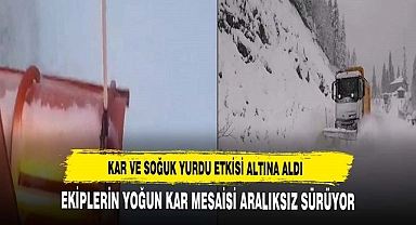 KAR VE SOĞUK YURDU ETKİSİ ALTINA ALDI