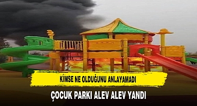 Kimse Ne Olduğunu Anlayamadı. Çocuk Parkı Alev Alev Yandı