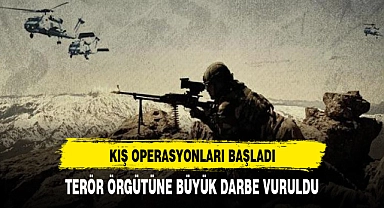 Kış operasyonları başladı teröre ağır darbe
