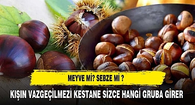 KIŞIN VAZGEÇİLMEZİ KESTANE SİZCE HANGİ GRUBA GİRER