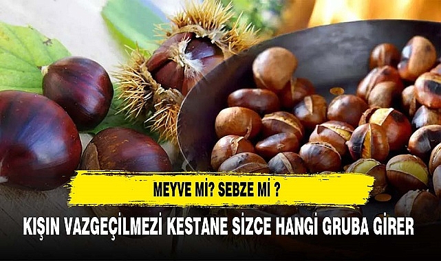 KIŞIN VAZGEÇİLMEZİ KESTANE SİZCE HANGİ GRUBA GİRER