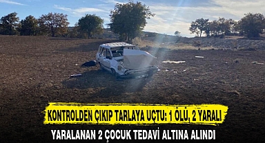 KONTROLDEN ÇIKIP TARLAYA UÇTU: 1 ÖLÜ, 2 YARALI